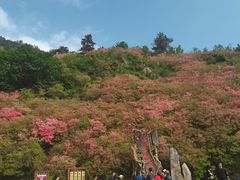 -木兰云雾山