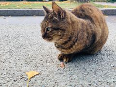 -苏州河梦清园环保主题公园