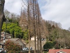 -莫干山风景区