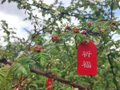 -硗碛藏寨·神木垒景区