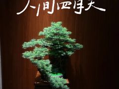 -鹤祥宫·影院足道·SPA连锁(苹果园店)