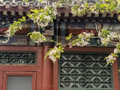 -海棠花溪(元大都城垣遗址公园)