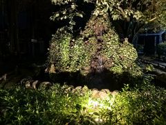-林间山庄