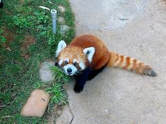 -云南野生动物园