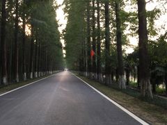 -黄海国家森林公园