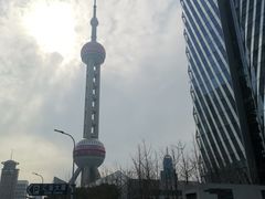 -BUS TOUR观光巴士