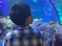 -沈阳海洋探索中心