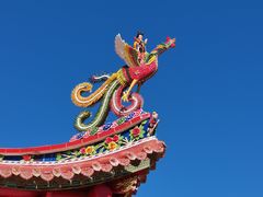 -军营村