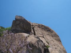 -崂山巨峰游览区