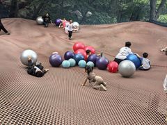 -沂蒙山旅游区云蒙景区(蒙山国家森林公园)