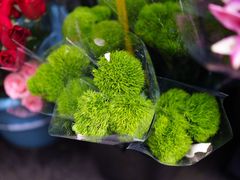 -循礼门鲜花花市(武汉循礼门店)