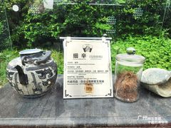 -广州神农草堂中医药博物馆