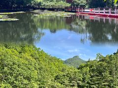 -洛阳白云山景区
