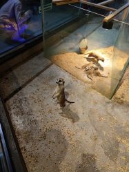 点击看大图 -未来动物城动物主题公园(大悦城店)