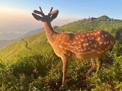 -萍乡武功山风景名胜区