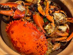 -七欣天香辣蟹火锅(深圳清湖金銮店)
