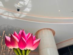 -茶源Fountain Lounge大堂吧·北京东方君悦大酒店