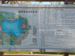 -莲花池公园