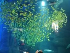 -成都浩海立方海洋公园