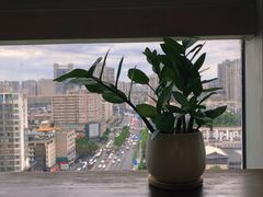 -帝京日语(春熙路旗舰校区)