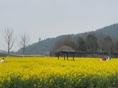 -径山花海