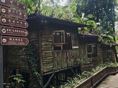 -天门沟九州驿站树上汤泉