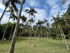 -中国科学院西双版纳热带植物园