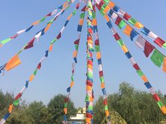 -武清南湖绿博园