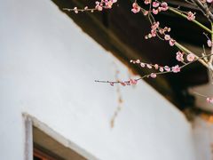-沧浪亭