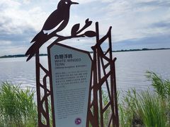 -黑龙江扎龙生态旅游区