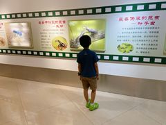 -上海昆虫博物馆