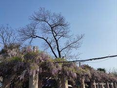 -花溪公园