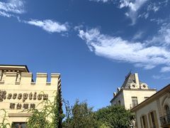 -北京张裕爱斐堡酒庄