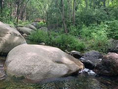 -云岫谷自然风景区