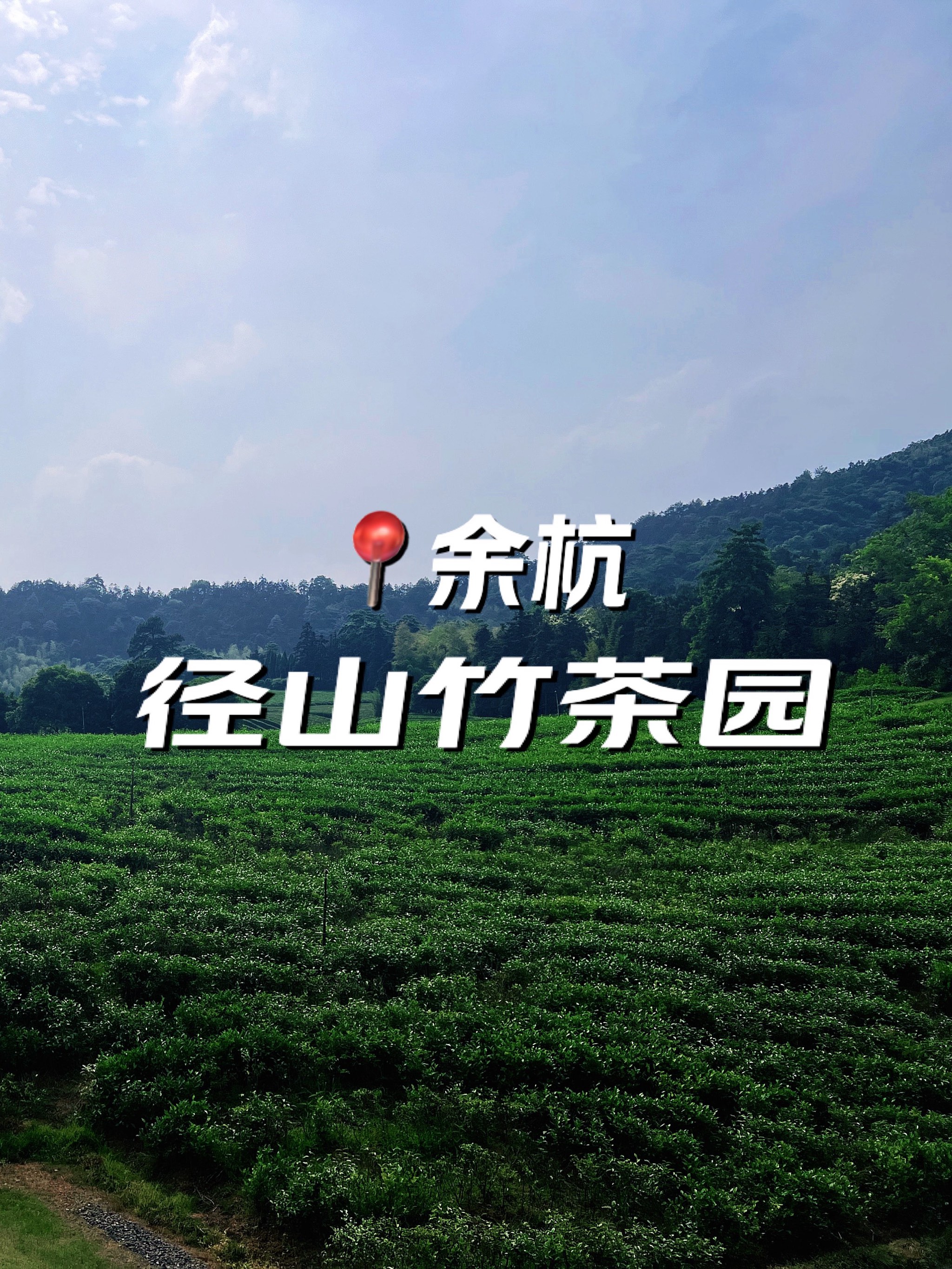 径山竹茶园宣传图片