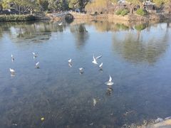 -无锡蠡湖国家湿地公园-蠡园