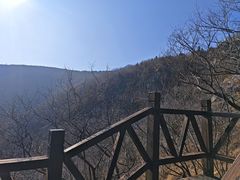 -皇藏峪国家森林公园
