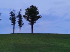 -合肥滨湖国家森林公园