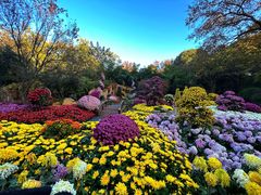 -杭州植物园