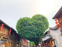 -长江澳风力发电景观区