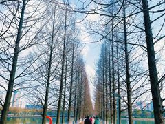 -食膳公园包子铺(烈士公园店)