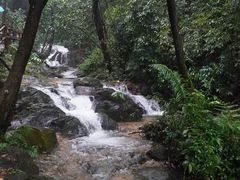 -南丹山森林王国