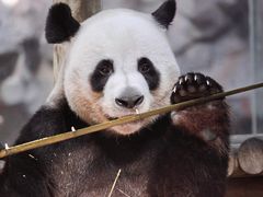 -栾川竹海野生动物园