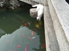 -苏州文旅花间堂·探花府酒店