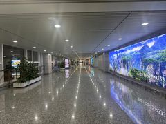 -张家界荷花国际机场