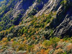 -明堂山风景区