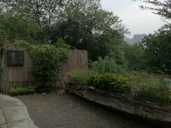 -三圣花乡旅游区