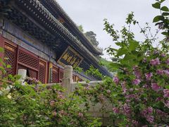-潭柘寺景区