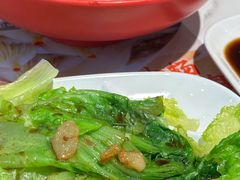 -小杨生煎(白玉兰广场店)