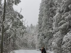 -武陵山森林公园